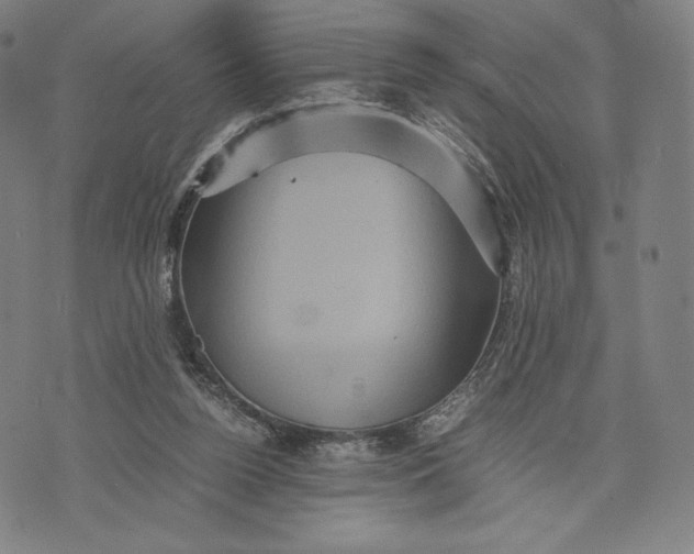 X0000071900160200607281812