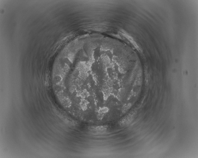 X0000071900161200607281812