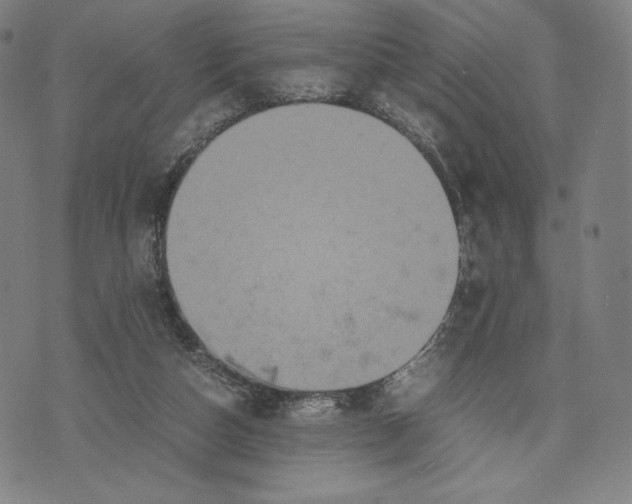 X0000071900162200607281812