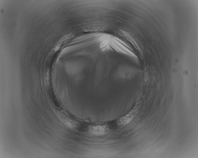 X0000071900163200607281812