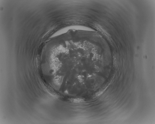 X0000071900165200607281812