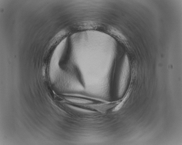 X0000071900166200607281812