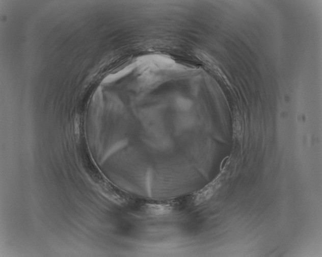 X0000071900167200607281812