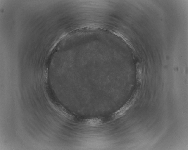 X0000071900168200607281812