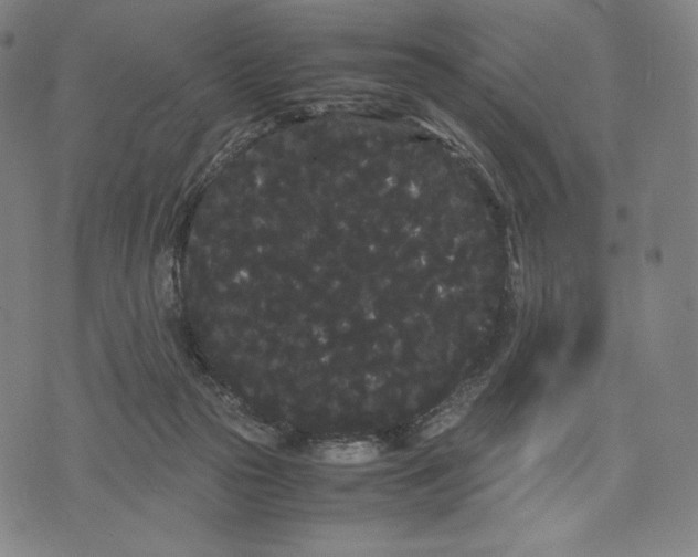 X0000071900169200607281812