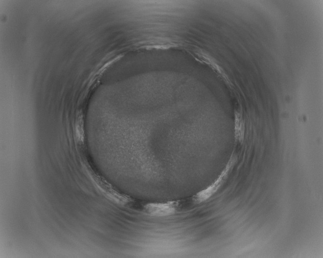 X0000071900170200607281812