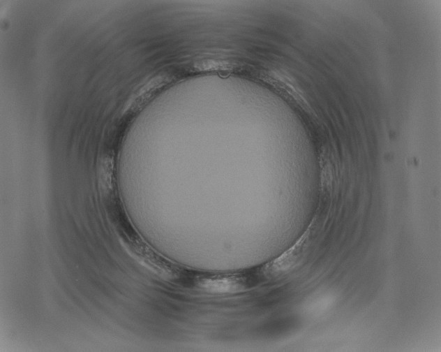 X0000071900171200607281812