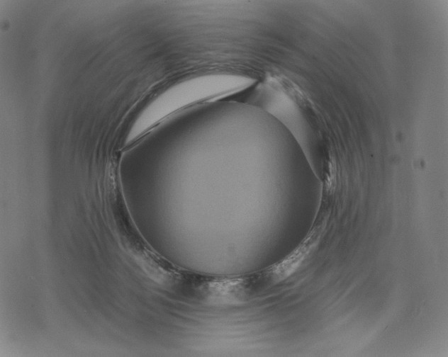 X0000071900172200607281812