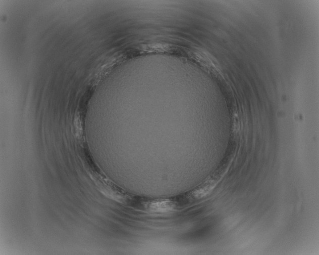 X0000071900173200607281812