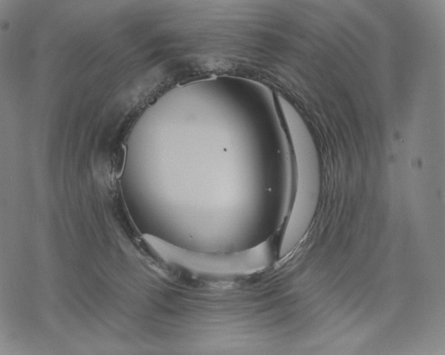 X0000071900176200607281812