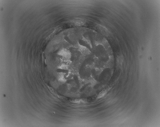 X0000071900177200607281812