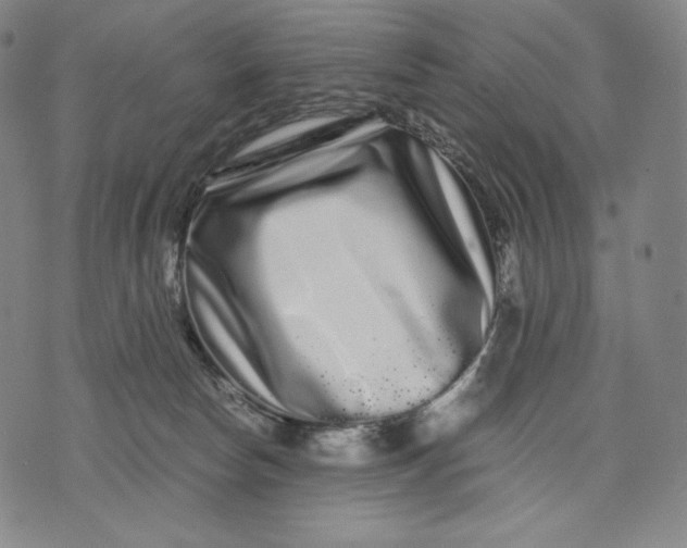 X0000071900178200607281812