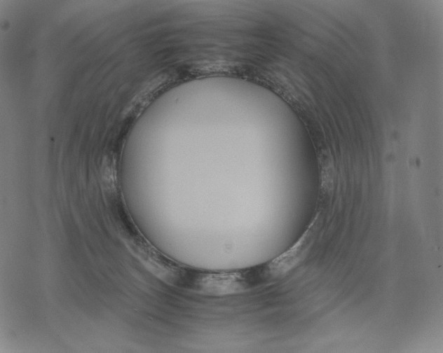 X0000071900179200607281812