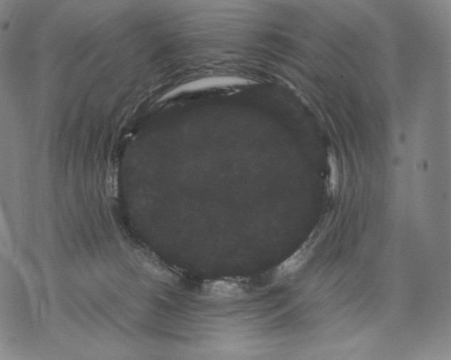 X0000071900180200607281812