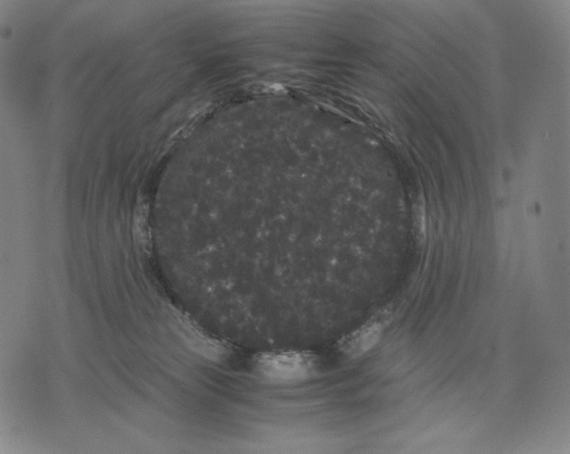 X0000071900181200607281812