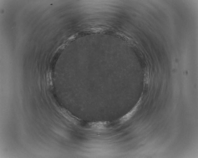 X0000071900182200607281812