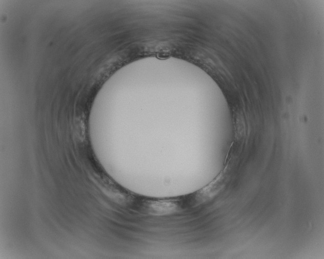 X0000071900183200607281812