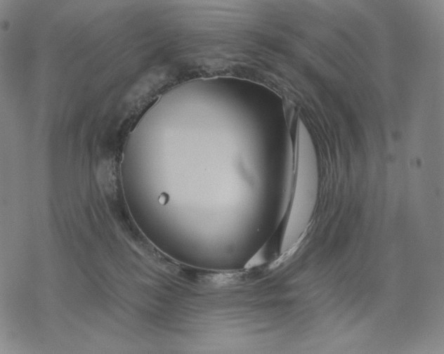 X0000071900184200607281812