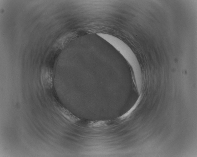 X0000071900186200607281812