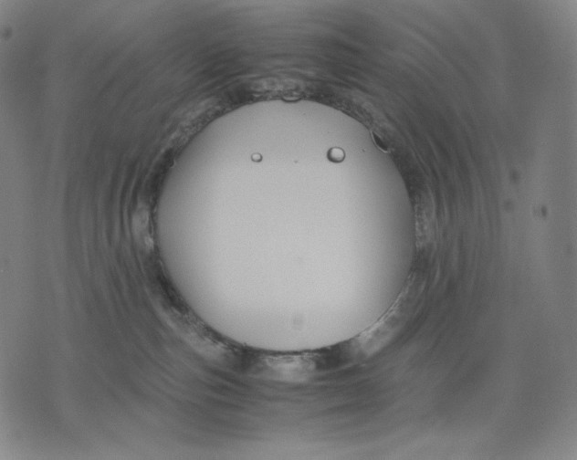 X0000071900187200607281812