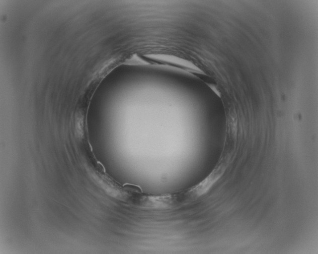 X0000071900188200607281812