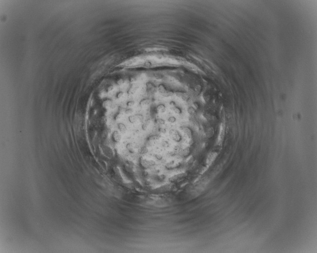 X0000071900189200607281812