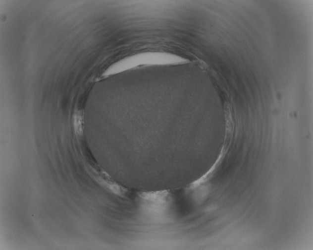 X0000071900191200607281812