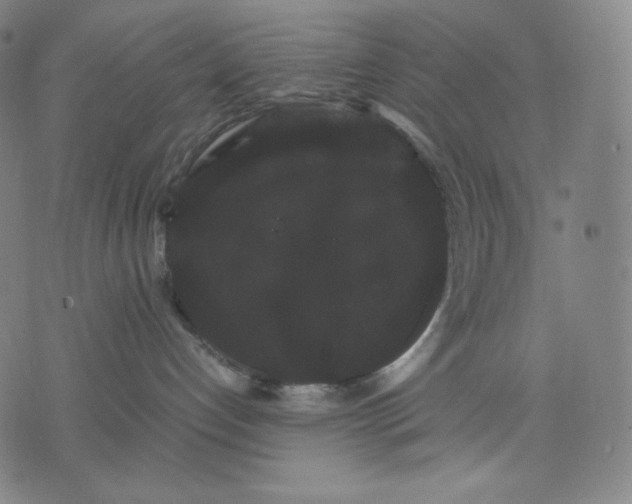 X0000071900192200607281812