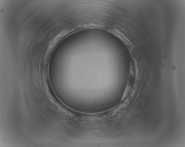 X0000071900193200607281812