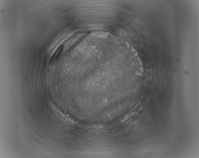 X0000071900194200607281812