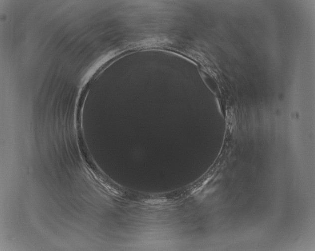 X0000071900196200607281812