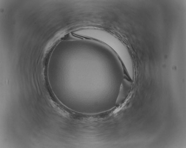 X0000071900197200607281812