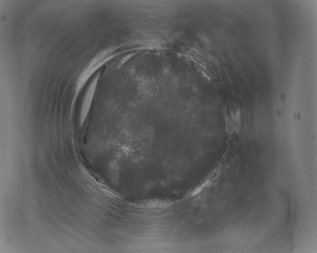 X0000071900198200607281812