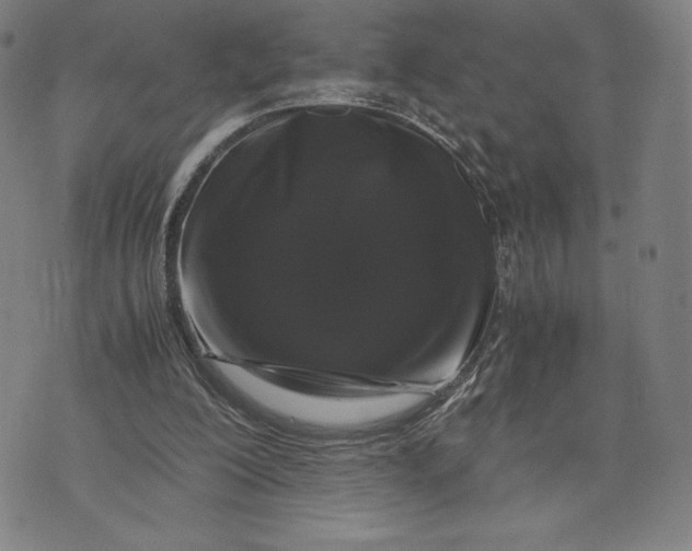 X0000071900200200607281812