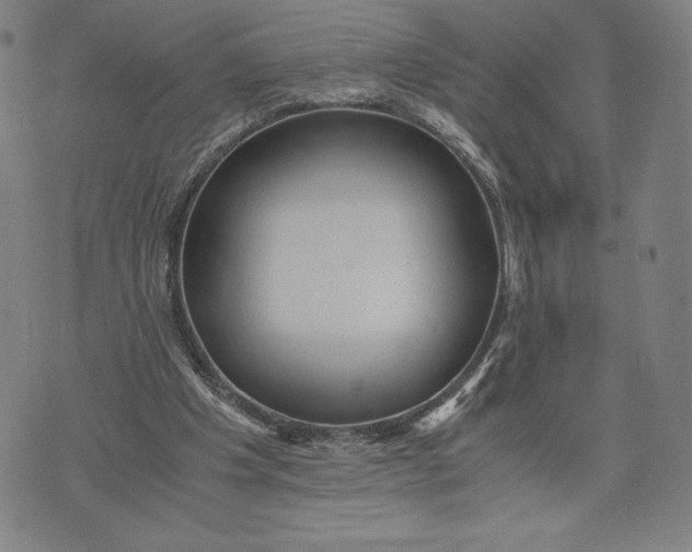 X0000071900201200607281812