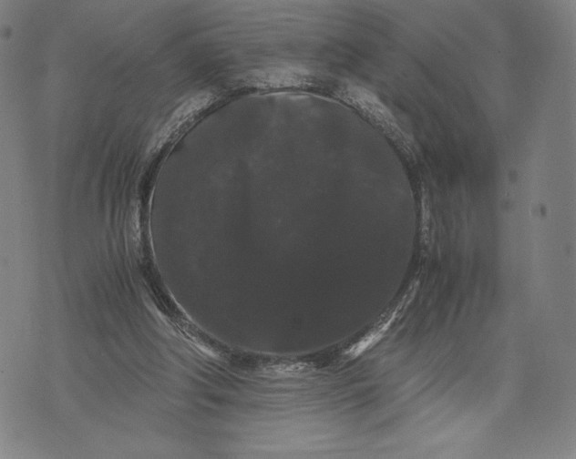 X0000071900202200607281812