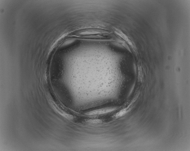 X0000071900203200607281812