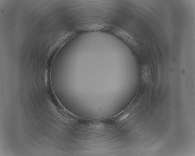 X0000071900206200607281812