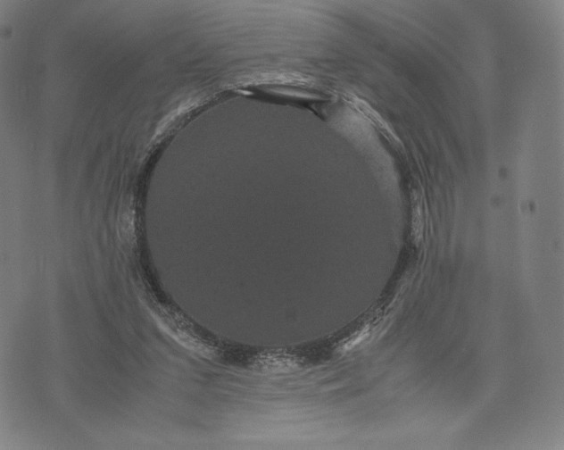 X0000071900207200607281811