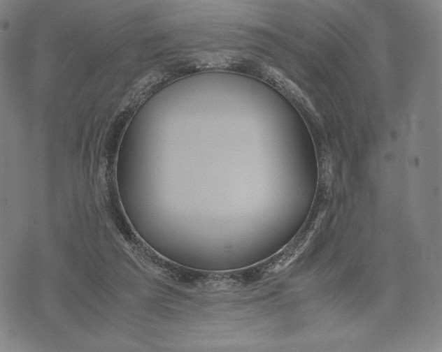 X0000071900209200607281811