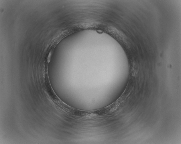 X0000071900210200607281811