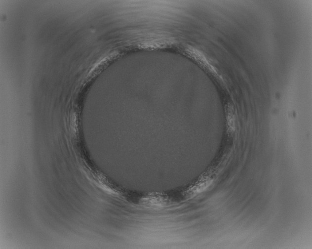 X0000071900211200607281811