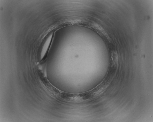 X0000071900212200607281811