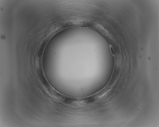 X0000071900213200607281811