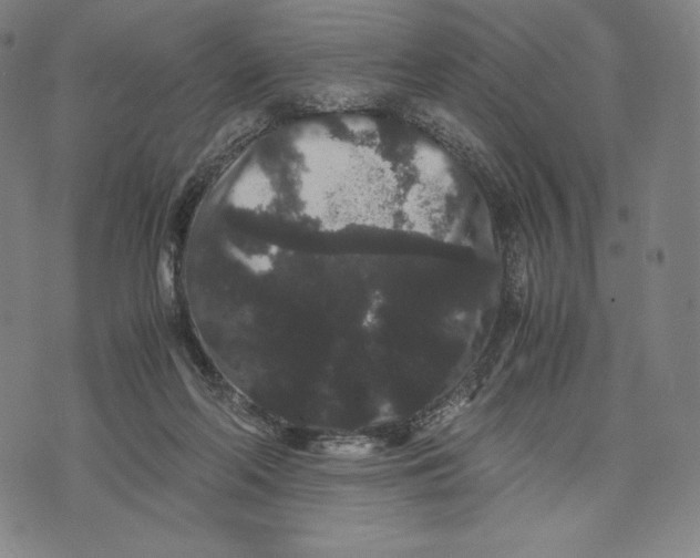 X0000071900214200607281811