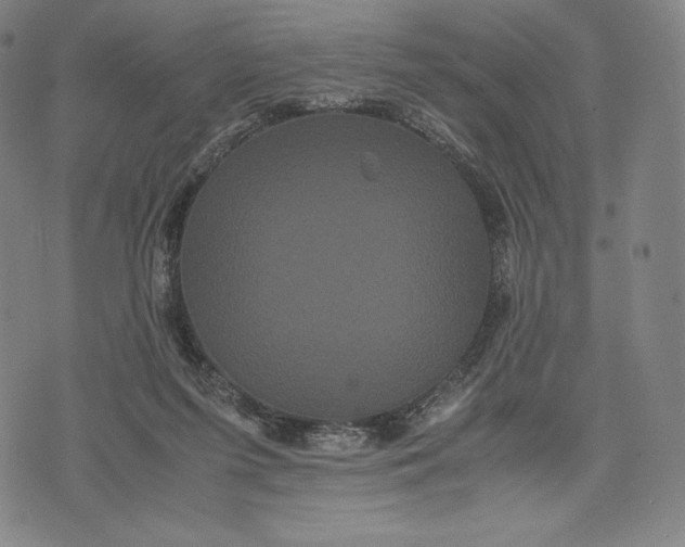 X0000071900215200607281811