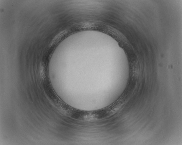 X0000071900216200607281811