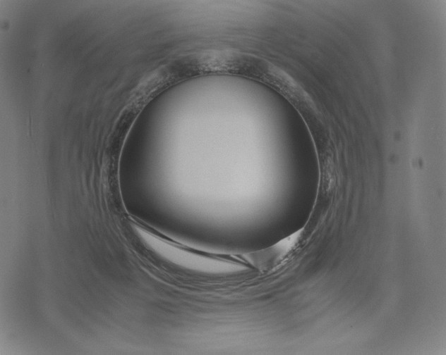 X0000071900217200607281811