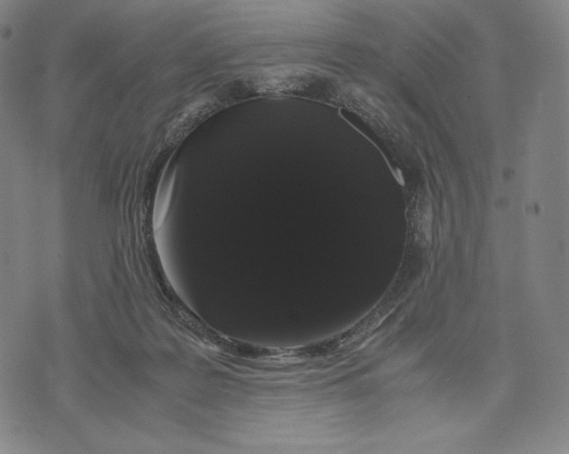 X0000071900219200607281811