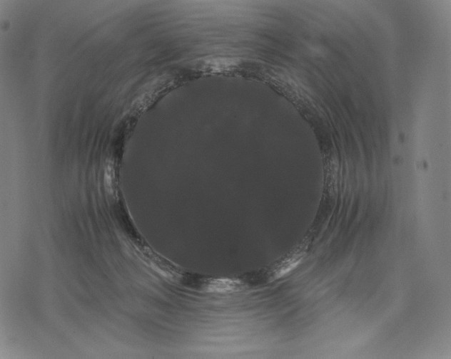 X0000071900222200607281811